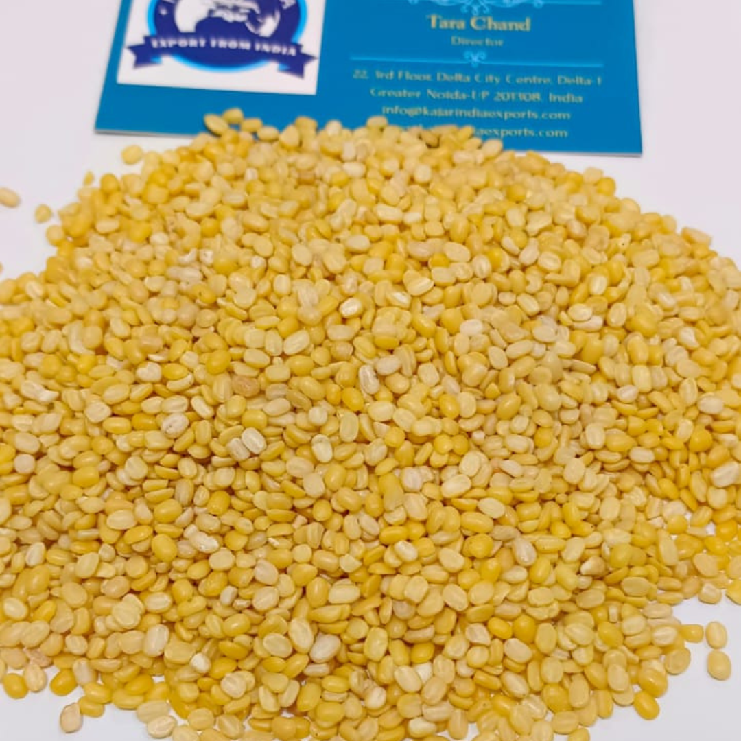 Your paragraph text (12).png